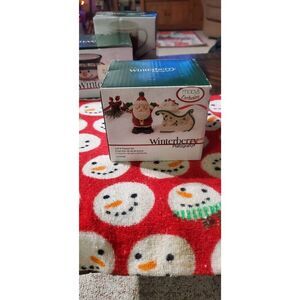 NEW IN BOX PFALTZGRAFF WINTERBERRY SALT AND PEPPER SET